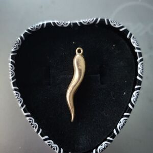 Gold Horn Pendant